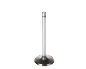 Melling Stock Replacement Intake Valve