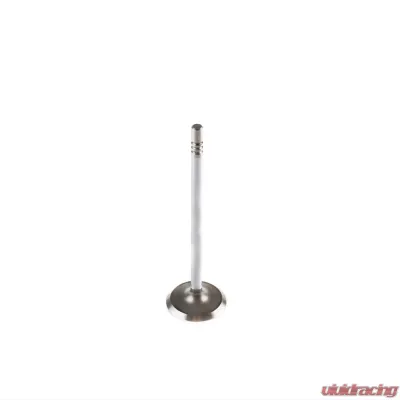 Melling Stock Replacement Intake Valve - V2118