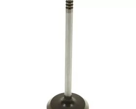 Melling Stock Replacement Intake Valve Ford 5.0L V8