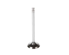 Melling Stock Replacement Intake Valve