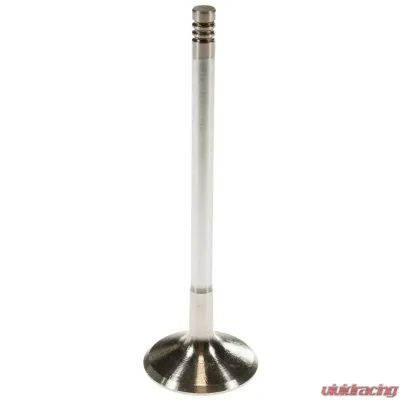 Melling Stock Replacement Intake Valve - V5784