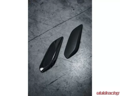 Salter Aero Carbon Fiber Wing End Plates Porsche 991.2 GT3 2018-2019 - SA001