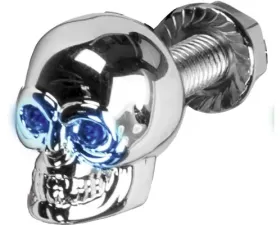 HardDrive Lighted Skull License Plate Screw Blue