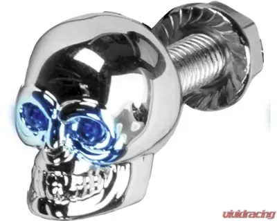 HardDrive Lighted Skull License Plate Screw Blue - H040079