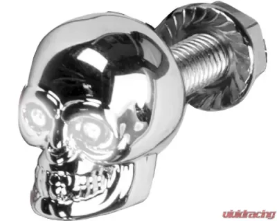 HardDrive Lighted Skull License Plate Screw White - H040081