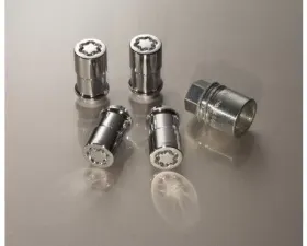 Ford Exposed Lugs Chrome Wheel Locks Ford Bronco Sport 2021-2025
