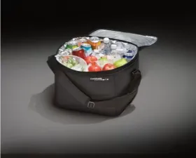 Ford Soft Sided Cooler Bag w/ Adj Carrying Strap & Ford Logo Ford Bronco Sport 2021-2025