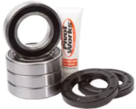 Pivot Works Rear Wheel Bearing Kit