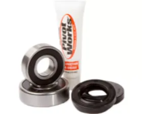Pivot Works Rear Wheel Bearing Kit