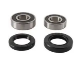 Pivot Works Rear Wheel Bearing Kit