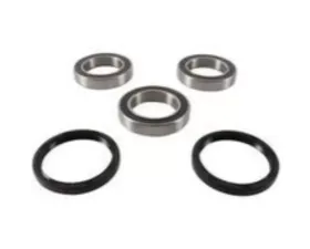 Pivot Works Rear Wheel Bearing Kit