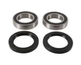 Pivot Works Rear Wheel Bearing Kit