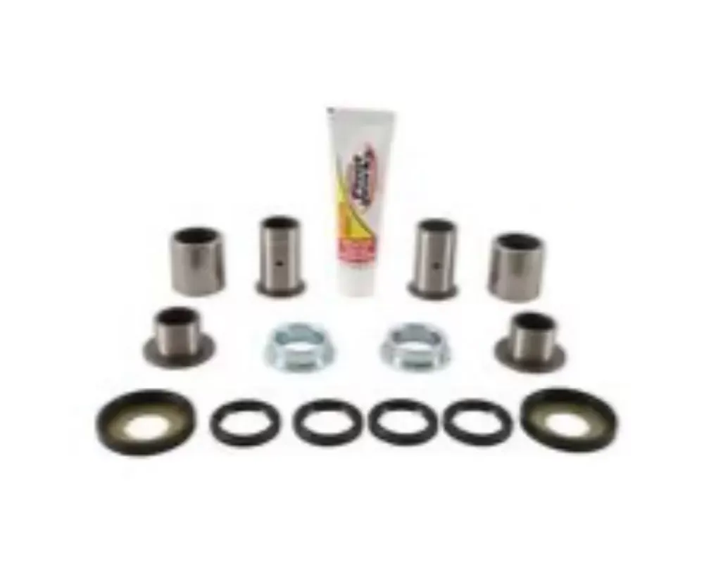 Pivot Works Swing Arm Bearing Kit - PWSAK-S09-020