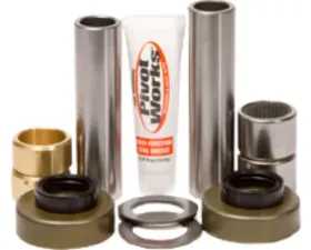Pivot Works Swing Arm Bearing Kit