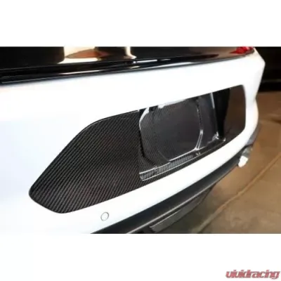 Carbign Craft Carbon Fiber License Plate Frame Ford Mustang 2018-2022 - CBX-MUGLIC