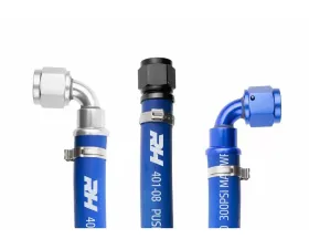 Redhorse Performance -10 401 Series Blue Push Lock Hose - 10 Feet