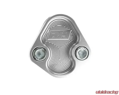 Redhorse Performance Aluminum Block-Off Plate for General Ford Except 351C, 351M & 400 Engine - Clear - 4810-302-5