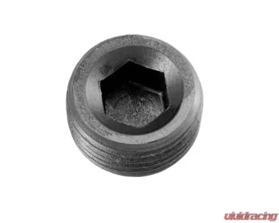 Redhorse Performance -06 (3/8") NPT Hex Head Pipe Plug - Black - 2/pkg - 932-06-2