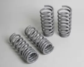 Progress Tech Sport Springs Dodge Chrysler 300C 2004-2010 | Dodge Challenger V8 2009-2021