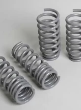 Progress Tech Sport Springs Dodge Chrysler 300C 2004-2010 | Dodge Challenger V8 2009-2021                                     - 40.0635 - Image 5