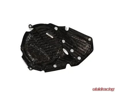 Ilmberger Engine Cover Left Carbon - BMW F 700 GS 2013+ / F 800 GS 2013+ / F 800 GS Adventure 2013+ - LMD.001.F800G.K