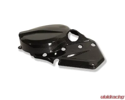 Ilmberger Engine Cover Left Carbon - BMW F 700 GS 2013+ / F 800 GS 2013+ / F 800 GS Adventure 2013+ - LMD.001.F800G.K