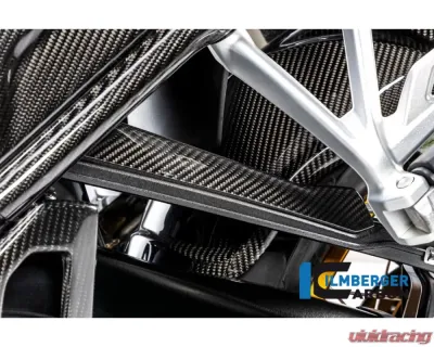 Ilmberger Brake-pipe Cover BMW R1250 GS/R/RS 2019+ - BLA.031.GS19T.K