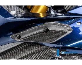 Ilmberger Fairing Flap Left Side BMW R1250 RS LC 2019+
