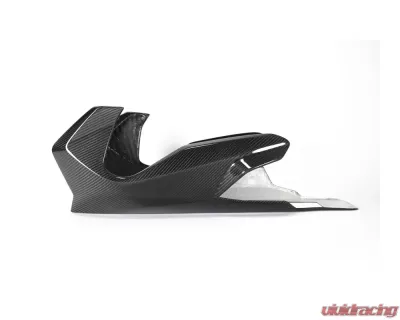 Ilmberger Bellypan BMW R1250 R/RS LC 2019 - VEU.003.R125R.K