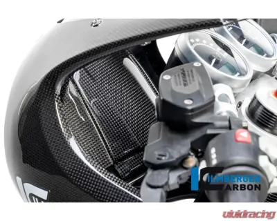 Ilmberger Cover behind the Headlight BMW R nine T Racer 2017+ - CAC.004.RNITR.K