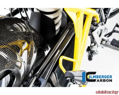 Ilmberger Brake Pipe Cover Carbon - BMW HP2 | R1200 | R nine T - BLA.002.R120S.K