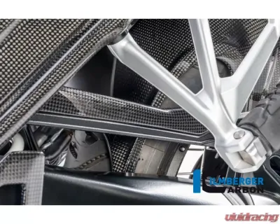 Ilmberger Brake-pipe Cover Carbon - BMW R1200 GS LC | R1200 R LC | R1200 RS LC - BLA.018.GS12L.K