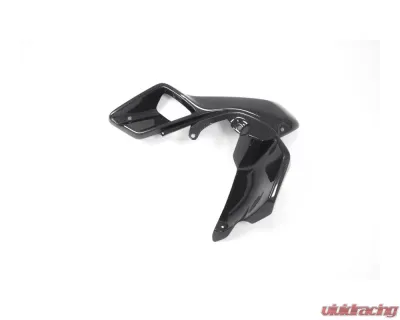 Ilmberger Airtube Left Upper Watercooler Cover Carbon - BMW R1200 GS LC 2013-2016 - WKL.026.GS12L.K