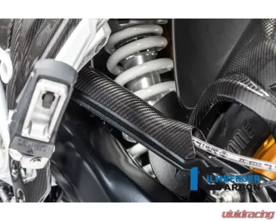 Ilmberger Brake-pipe Cover BMW R1250 GS/R/RS 2019+ - BLA.031.GS19T.K