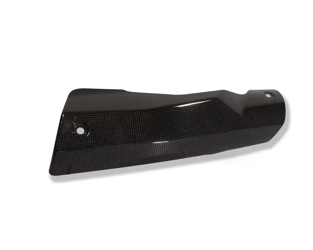 Ilmberger Silencer Protector Carbon - Aprilia RSV 4 2009-2012 - AHS.011.RSV4S.K