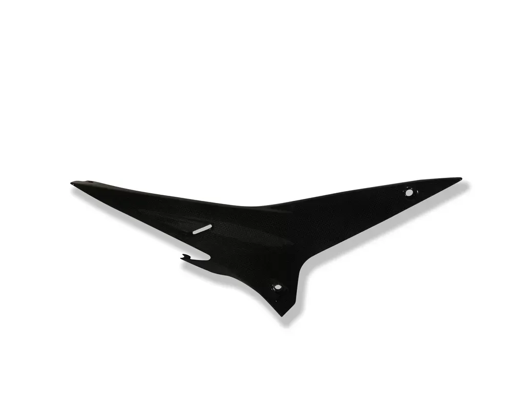 Ilmberger Side Panel Right Side Carbon - Aprilia RSV 4 2009+ - SED.005.RSV4R.K