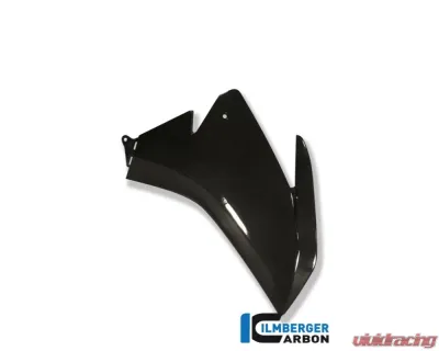 Ilmberger Fairing Side Panel Right Carbon - Aprilia RSV 4 2009+ - VER.008.RSV4R.K