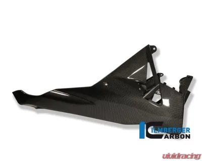Ilmberger Bellypan Carbon - Aprilia RSV 4 2009+ - VEU.009.RSV4S.K