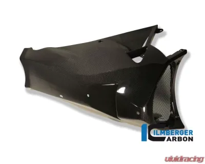 Ilmberger Bellypan Carbon - Aprilia RSV 4 2009+ - VEU.009.RSV4S.K
