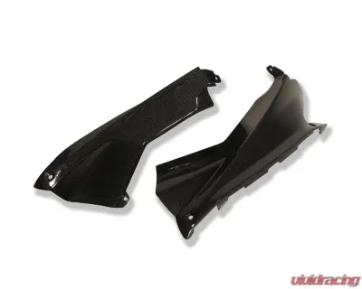 Ilmberger Airtube Covers Pair Carbon - Aprilia RSV 4 2009+ - WKA.012.RSV4S.K