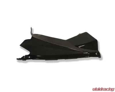 Ilmberger Airtube Covers Pair Carbon - Aprilia RSV 4 2009+ - WKA.012.RSV4S.K