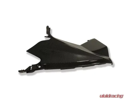 Ilmberger Airtube Covers Pair Carbon - Aprilia RSV 4 2009+ - WKA.012.RSV4S.K