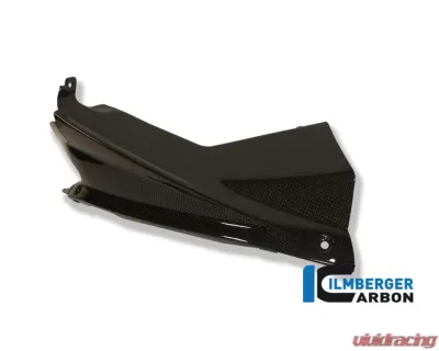 Ilmberger Airtube Covers Pair Carbon - Aprilia RSV 4 2009+ - WKA.012.RSV4S.K