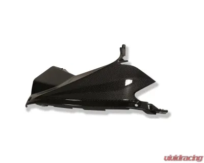 Ilmberger Airtube Covers Pair Carbon - Aprilia RSV 4 2009+ - WKA.012.RSV4S.K