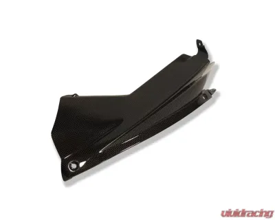 Ilmberger Airtube Covers Pair Carbon - Aprilia RSV 4 2009+ - WKA.012.RSV4S.K