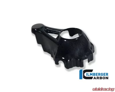 Ilmberger Bevel Drive Housing Protector Carbon - BMW R1200 GS LC 2013+ - KGS.031.GS12L.K