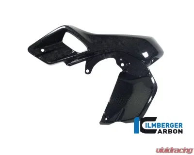 Ilmberger Airtube Left Upper Watercooler Cover Carbon - BMW R1200 GS LC 2013-2016 - WKL.026.GS12L.K