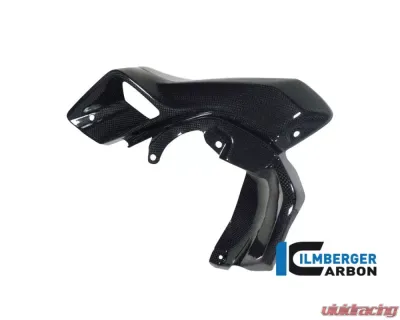 Ilmberger Airtube Left Upper Watercooler Cover Carbon - BMW R1200 GS LC 2013-2016 - WKL.026.GS12L.K