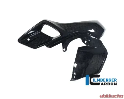 Ilmberger Airtube Left Upper Watercooler Cover Carbon - BMW R1200 GS LC 2013-2016 - WKL.026.GS12L.K