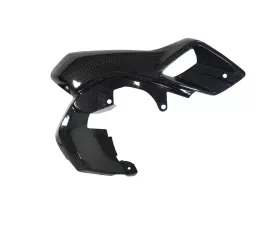 Ilmberger Airtube right Upper Watercooler Cover Carbon - BMW R1200 GS LC 2013-2016